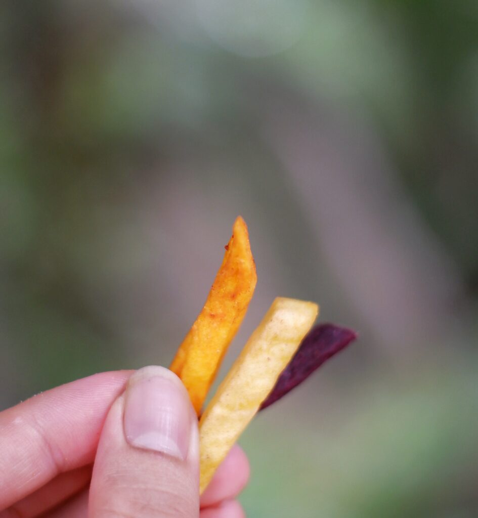 Tampilan stick Crispy Salad Healthy Chips